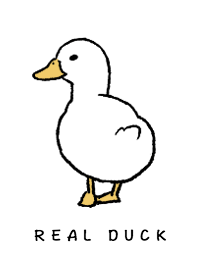 real duck theme