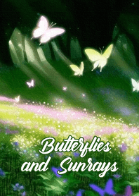 Butterflies and Sunrays