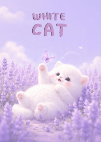 Cute White Cat In Lavender