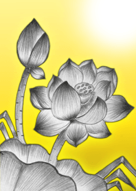 Lotus art