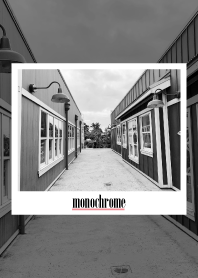 monochrome photograph 60