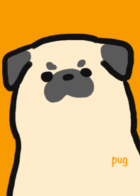 Fine Pug