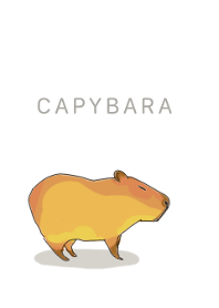 Little Capybara