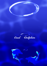cool dolphin
