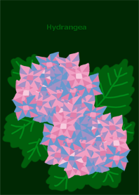 Hydrangea Theme