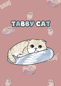 creamtabby3 / pale pink