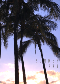 SUMMER SKY 5 -Palm tree- #cool