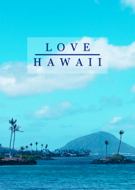 I LOVE HAWAII - aloha 4