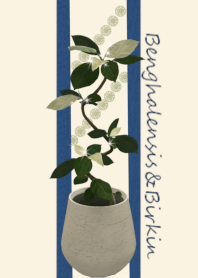 Benghalensis and Birkin