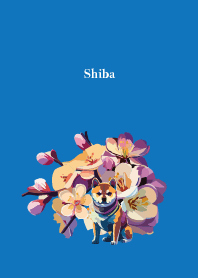 sakura and Shiba on white & blue JP