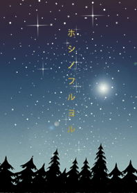 星の降る夜に＊11