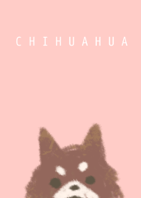 The Chihuahua