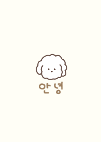 korea_maltese(yellow beige)