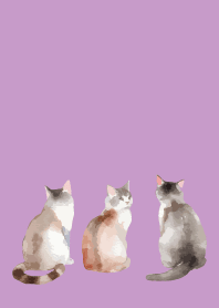 light purple まったりしたネコ4