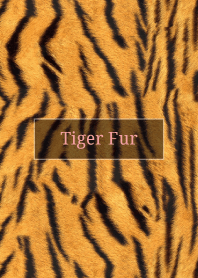 Tiger Fur 45