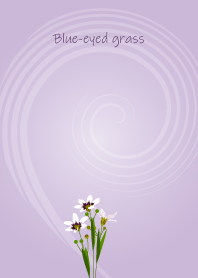 July's birth flower,Blue-eyed grass