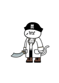 海賊にゃん11
