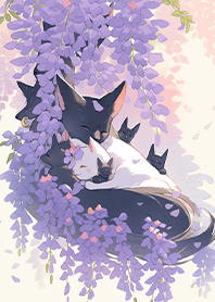 Kitty family portrait