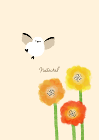 Long-tailed tit Poppy17 from Japan