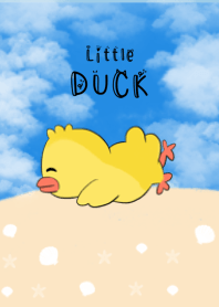 Duck duck2 @ Noo