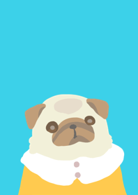 Pug dog kawaii