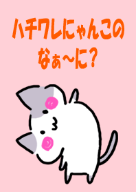 What is it about cats?