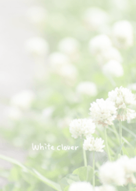 White clover Theme ver.Japan