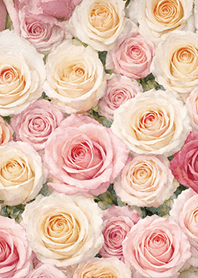 Watercolor flowers_w001