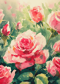 Beautiful rose flower(R4298)