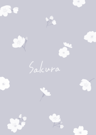 Dullcolor,Sakura3 wistaria10_2