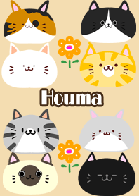 Houma Scandinavian cute cat