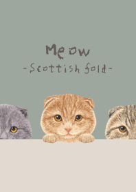Meow - Scottish fold - GREEN GRAY