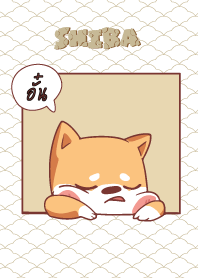 อั๋น ใครไม่บะ ชิบะ 4 V12