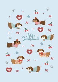 Dachshund! Baby Blue