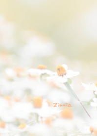 Zinnia Theme 2