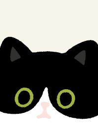 Tuxedo cat and Black cat.10