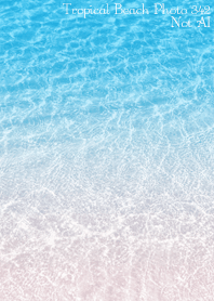 Tropical Beach Photo 342 Not AI