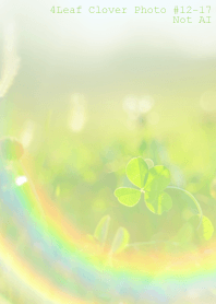 4leaf Clover Photo#12-17Not AI