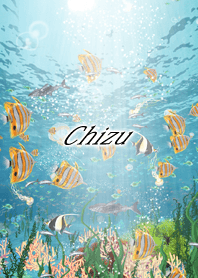 Chizu Coral & tropical fish