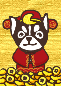 Lily God of Wealth (Chihuahua)