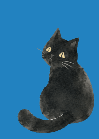 blue　くせあり黒猫01