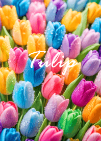 "Tulip vol.38" theme