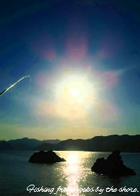 Fishing from rocks by the shore.