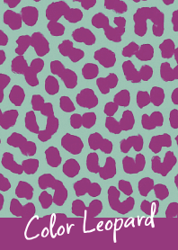 COLOR LEOPARD THEME -45