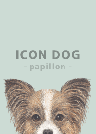 ICON DOG - パピヨン - PASTEL GR/04