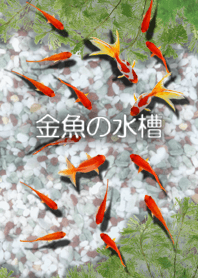 Goldfish aquarium