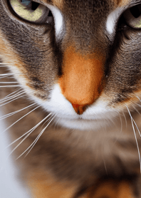 Nyanko Great Runaway#BPUX013.