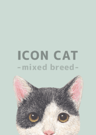 ICON CAT -Mixed breed cat- PASTEL GR/11