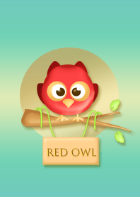 Red Owl on Green Background