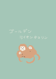 グリーン×ゴールデンライオンタマリン